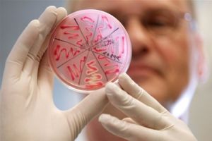 Рівень отруєння продуктами в області залишається високим