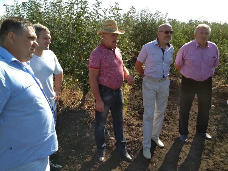 Агропромисловий комплекс області зростає за рахунок рослинництва