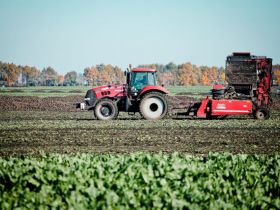 Аграрії закладають урожай майбутнього року