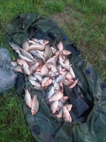 Антибраконьєрські рейди на запорізьких водоймах  приносить позитивні результати