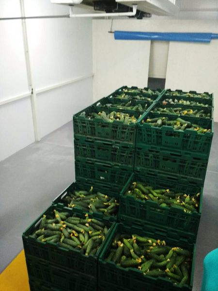 Запорізькі виробники плодоовочевої продукції стали на крок ближче до європейських ринків збуту