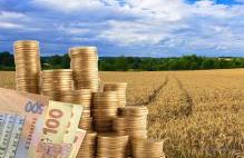 Запорізькі власники паїв отримали майже 480 млн. грн. орендної плати