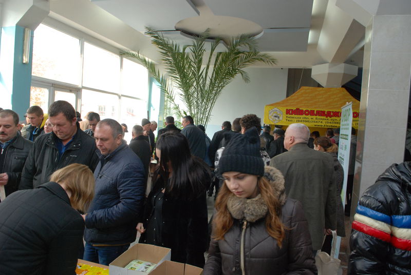 Мелітополь на два дні став медовою столицею України