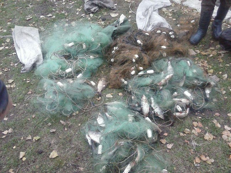 Заборона на лов риби розпочалася затриманням браконьєрів