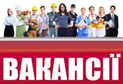 ТОП -15 актуальних вакансій у Запорізькій області