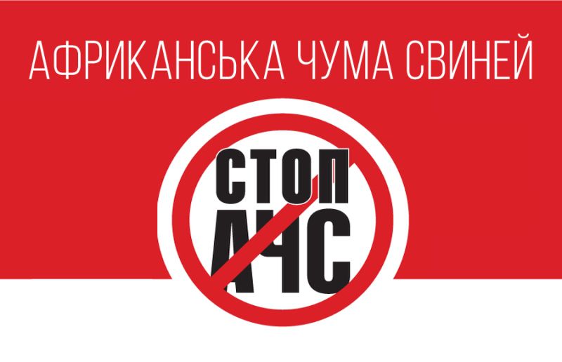 У господарстві військової частини зафіксовано спалах захворювання свиней на африканську чуму     