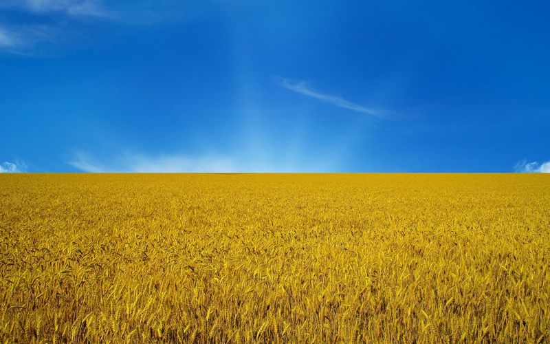 Для передачі земель у власність  35 ОТГ підписали меморандуми про співпрацю з Держгеокадастром