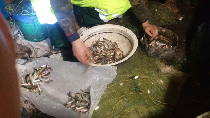 За вилов річкової риби браконьєрам загрожує позбавлення волі