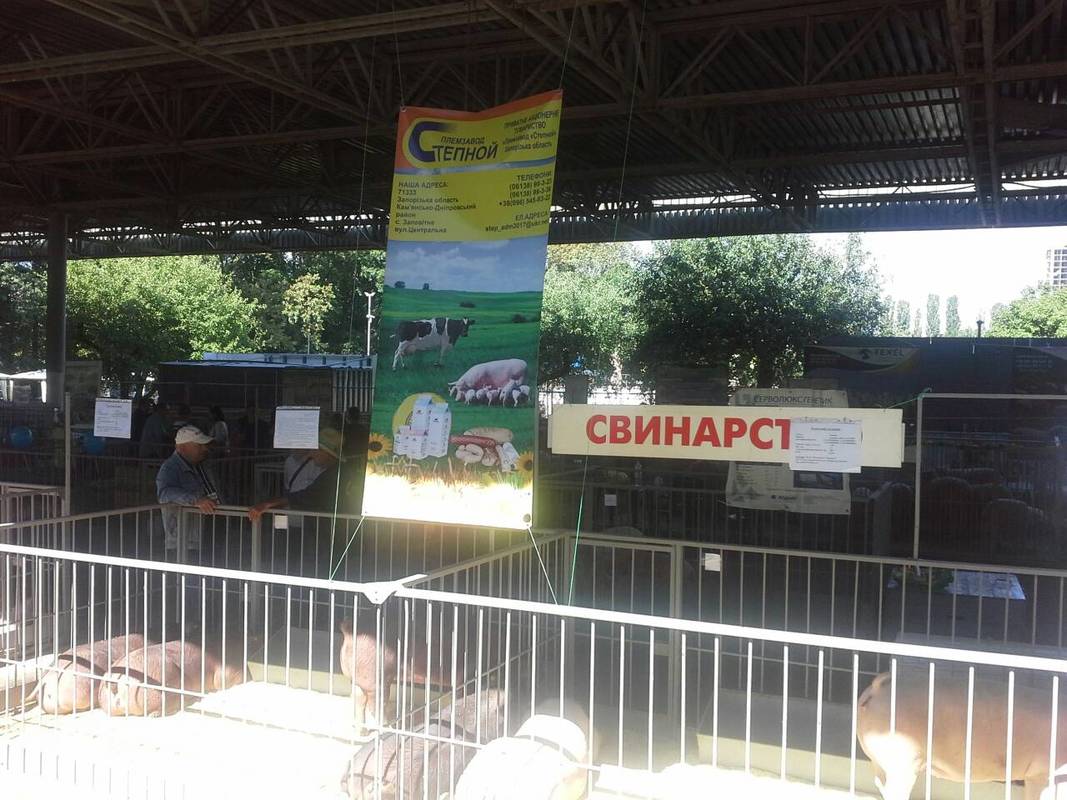 Запорізькі аграрії презентують свої здобутки на Міжнародній виставці «АГРО-2018»