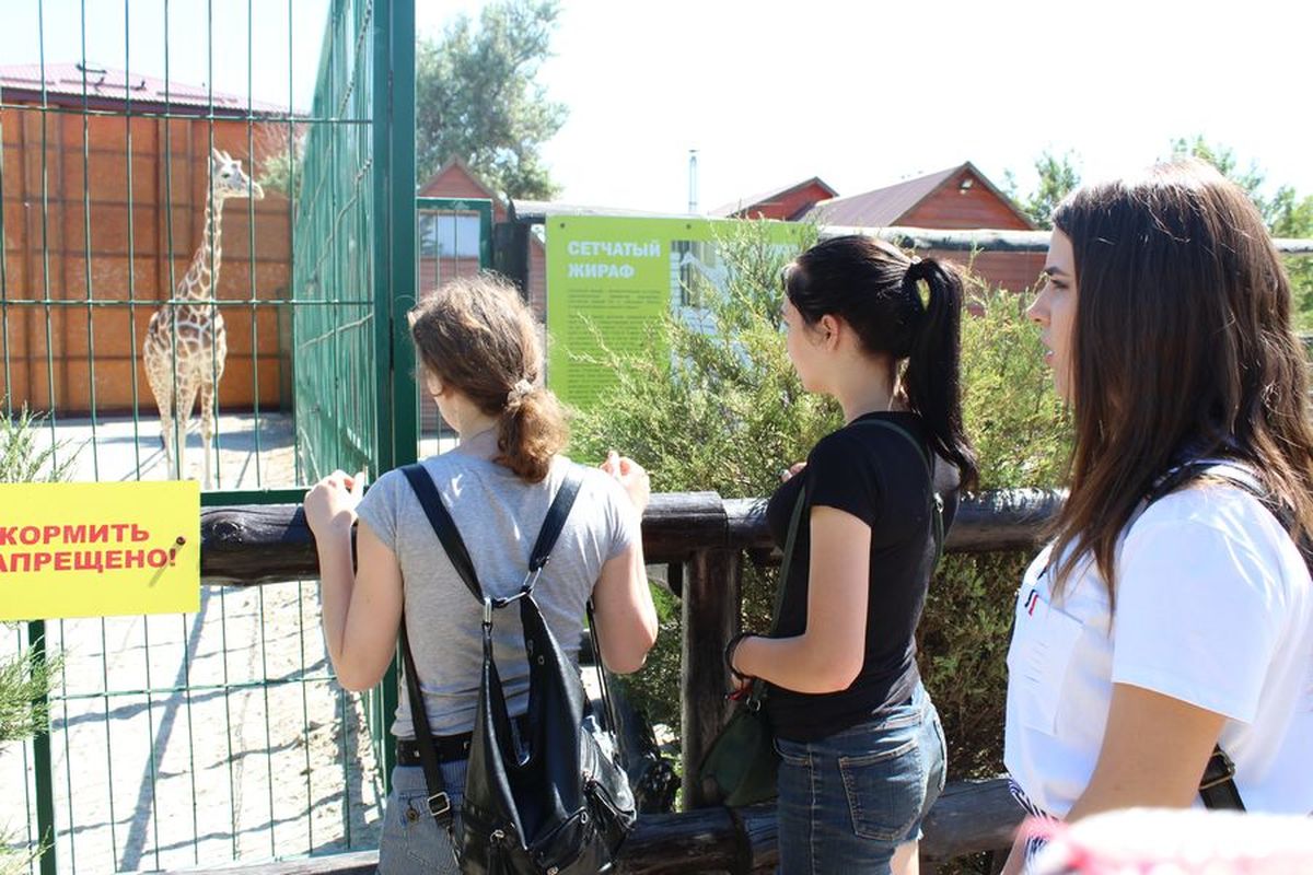 Діти з Луганської області оздоровилися на запорізькому курорті
