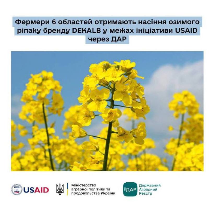 USAID У СПІВПРАЦІ З МІНАГРОПОЛІТИКИ ТА БАЙЄР НАДАСТЬ НАСІННЯ ОЗИМОГО РІПАКУ ДЛЯ ФЕРМЕРІВ У 6 ОБЛАСТЯХ