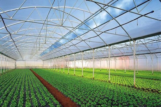 Вебінар «Тепличні господарства як один із трендів економічного розвитку громад»